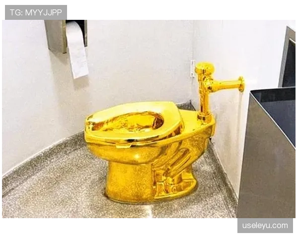 巴洛特利训练迟到被罚，转头花8万买金马桶